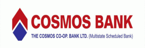 COSMOS-300x225